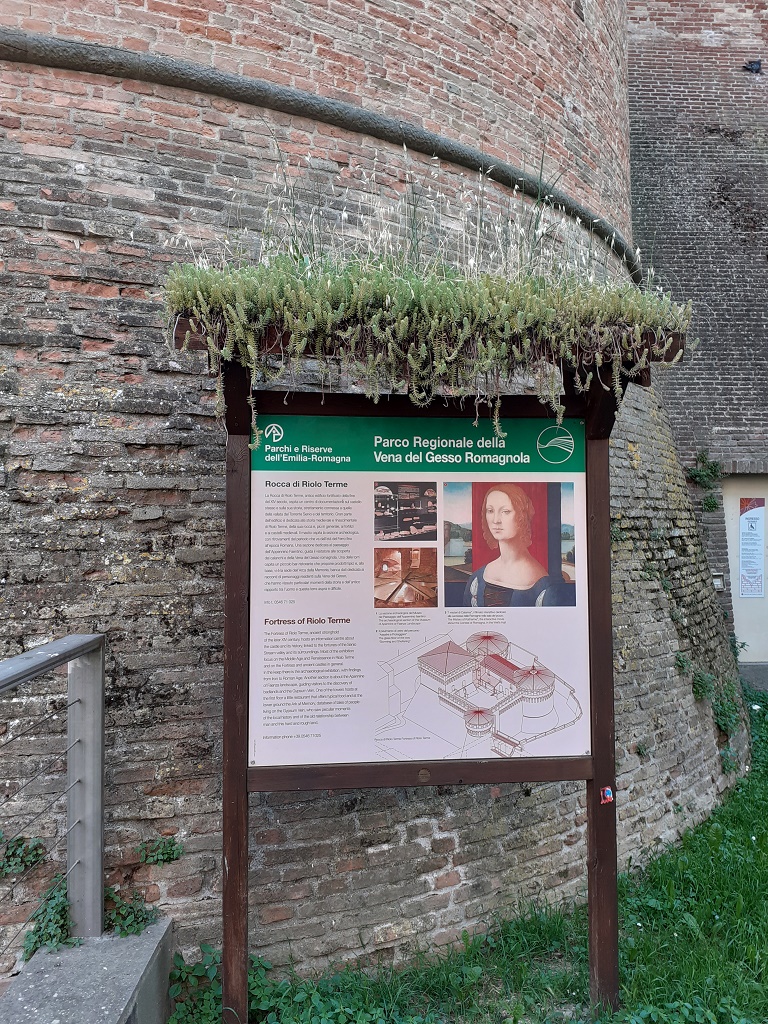 Rocca - descrizione